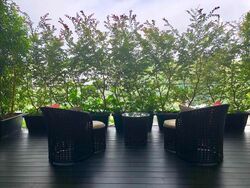 8 Napier (D10), Condominium #371013981